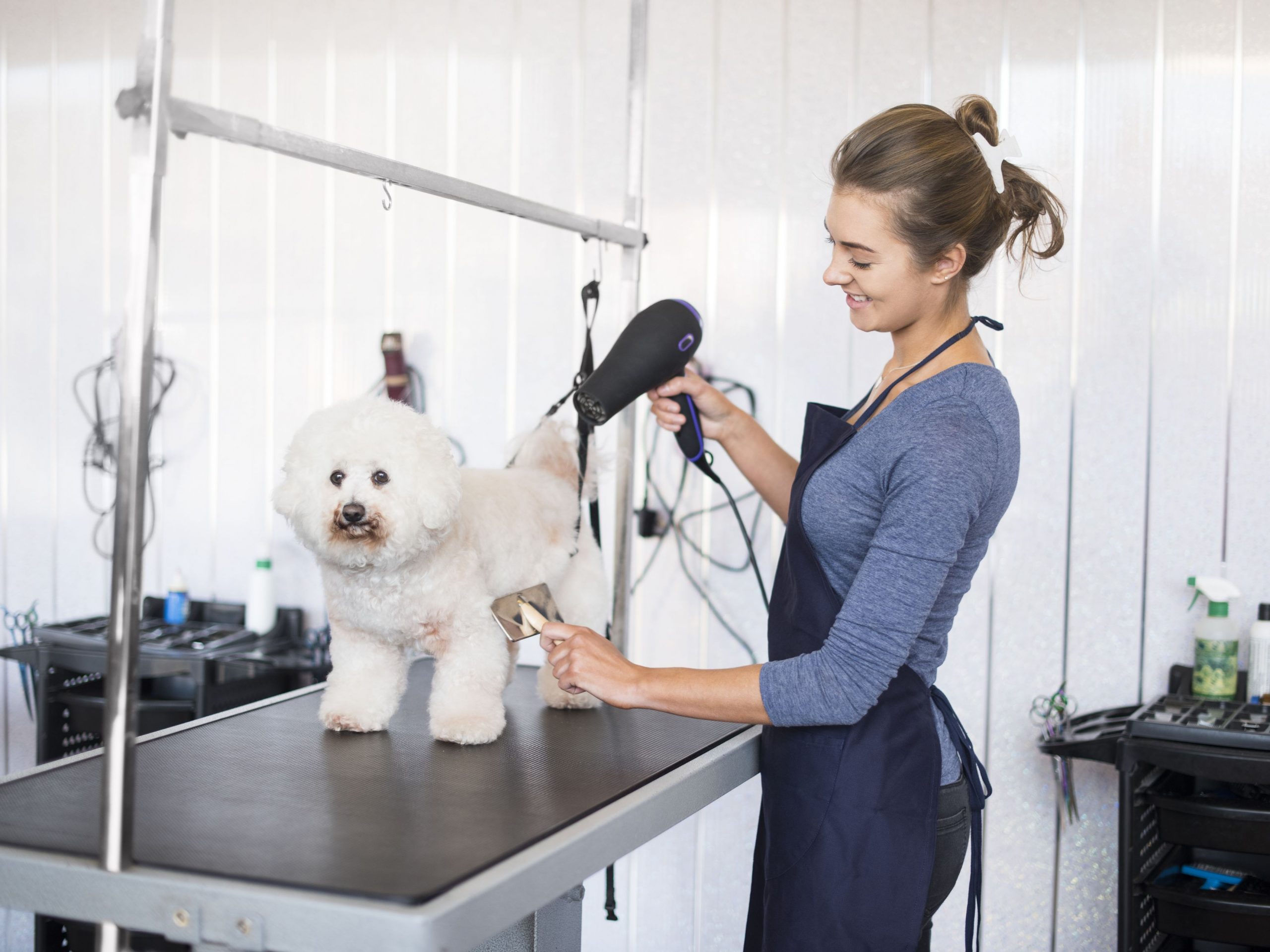 Established Two-Location Dog Wellness Franchise West Austin, Texas | $750K+ Gross Revenue | ~700 Active Members