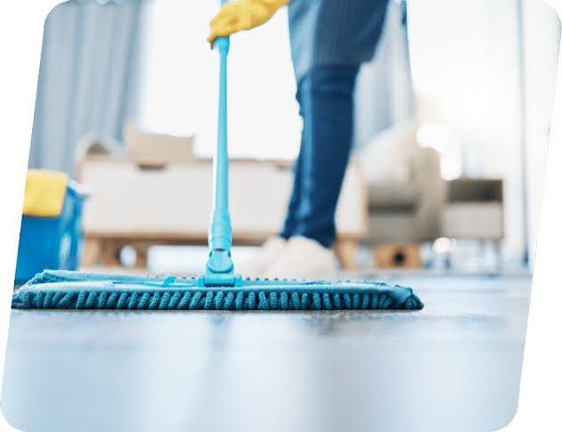 Owner Independent Cleaning Service